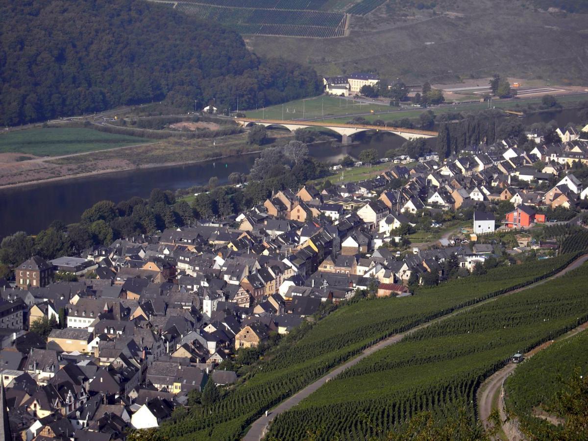 Weinstube Pension Moselbluemchen Zeltingen-Rachtig Exterior photo